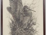 un dessin représentant un oiseau perché au sommet d'un tas d'herbe