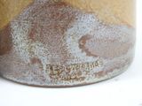 a close up of a cup with a mountain in the background