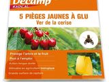 décamp 5 pièces Jaunesa : la colle verte de la crise