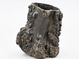 an image of a sculpture of a tree stump on a white surface