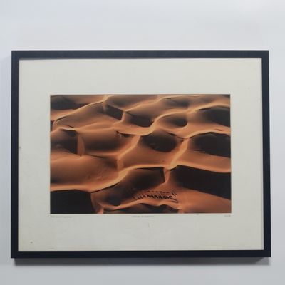 Yann Arthus Bertrand (XXe siècle)