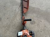 an image of a small hedger on the ground