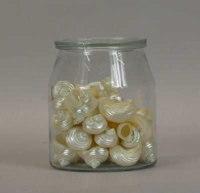a glass jar filled with small white spiral beads