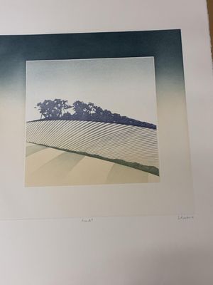 une photo d'une photo représentant un paysage avec des arbres