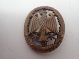 a close up of a metal badge with an eagle on it