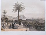 a drawing of a view of a city with a palm tree
