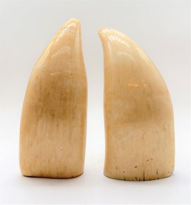 paire de serre-livres en dent de baleine sculptée en ivoire sur fond blanc