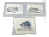 three drawings of a mouse and a mouse on a table