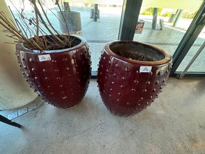 deux grands vases contenant des plantes, posés par terre