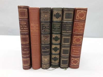 FIGUIER LOUIS. Histoire naturelle.