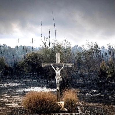 a cross in the middle of a burned area with trees in the background