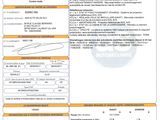 a document with a picture of a car ' s driver ' s license