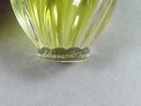a glass vase with a green liquid inside of it