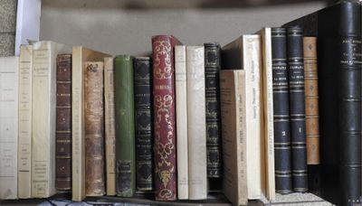 de nombreux livres qui se trouvent sur une étagère dans la pièce
