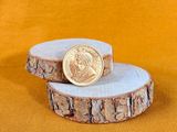 two slices of wood with a coin on top of them