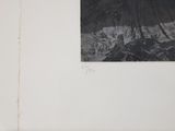 a black and white photo of a mountain with trees