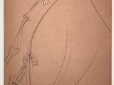 an image of a drawing of a woman ' s head with a flower on it