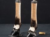 a picture of a pair of shoes that are on a table