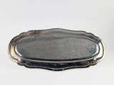 an image of a silver tray on a white surface