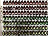 a lot of beetles that are in a white box