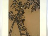 drawing of a man on a ladder reaching up to a tree