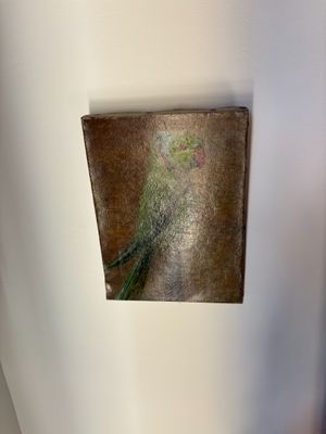 a bird that is sitting on the wall in the bathroom