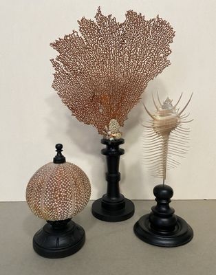 three vases that are sitting next to each other on a table
