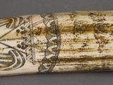 an elephant ' s tusk with a design on it