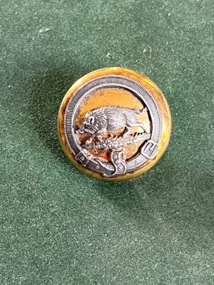 un bouton sur lequel figure l'image d'un lion
