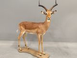 statue d'une antilope posée sur un socle en bois, sur fond gris