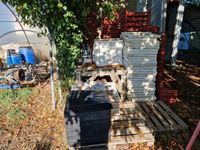 Lot de cagettes et plateaux (plaques de 150 et 220 trous). (photo 2)