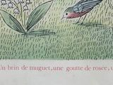 a bird that is sitting on a branch in the grass
