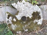 un gros morceau de mousse poussant sur le mur