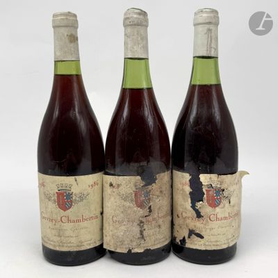 3 B GEVREY-CHAMBERTIN (2 à 3,5 cm ; e.t.h. à e.t.a.; c.s.), Domaine de - Photo 1