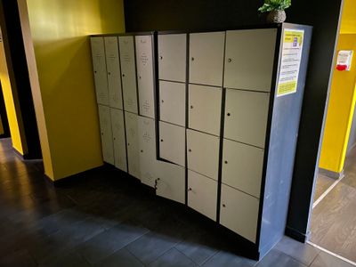 une rangée de casiers dans un couloir, avec une plante posée dessus