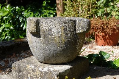 un bol en pierre posé sur un bloc de pierre dans un jardin