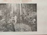 an old photo of a group of people standing in a forest