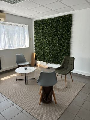 une photo d'un salon avec un mur végétal