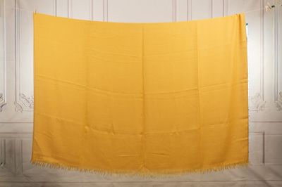 an image of a yellow blanket hanging on a wall