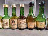several bottles of alcohol are lined up on a table