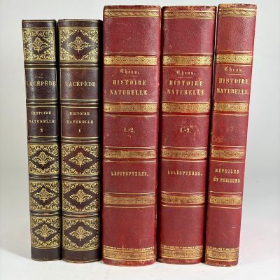 several old books are lined up in a row on a white surface