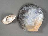 an image of a shell with a pearl in it next to a shell with a pearl in it
