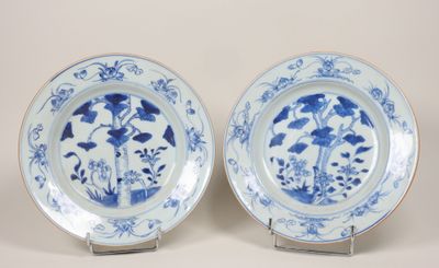 une paire d'assiettes bleues et blanches ornées de fleurs et de feuilles
