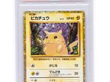 the pokemon card is in a clear plastic holder