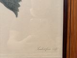 an image of a picture of a leaf in a wooden frame