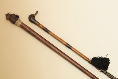 2 CANNES - L'une en palissandre à pommeau en celluloïd à têt… - Photo 1