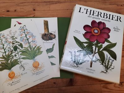 deux livres posés sur une table, sur laquelle se trouvent des fleurs et des plantes