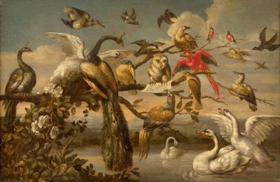 de nombreux oiseaux qui volent dans le ciel