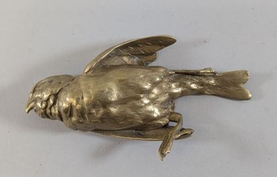 a gold bird brooch on a white surface