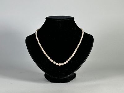 gros plan d'un collier sur un mannequin sur fond blanc